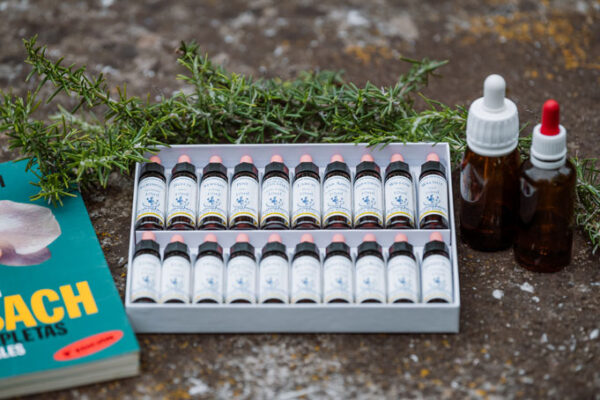 Flores-Bach-Medicina-natural-cuerpo-alma-Albaraque-naturopata-Catalunya Autocuidado Consciente para el Bienestar Integral con Albaraque NATUROPATIA Online
