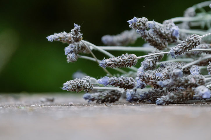 Tu tratamiento Natural - Servicios Naturopatía Online Albaraque Catalunya