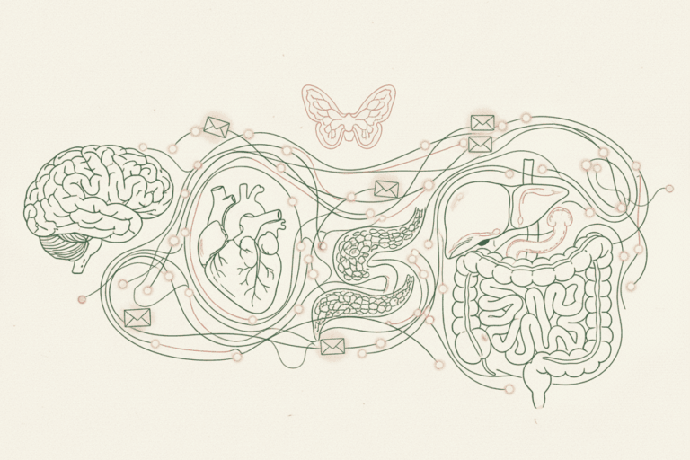 Hormonas y sistema endocrino: tratamientos naturales en Albaraque - Consulta de Naturopatía Online
